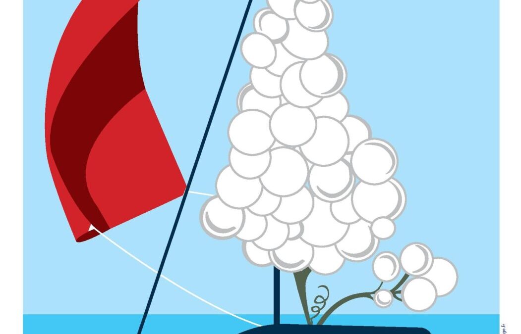Les VOILES des VIGNERONS, retour sur l’évènement