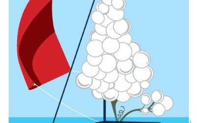Les VOILES des VIGNERONS, retour sur l’évènement