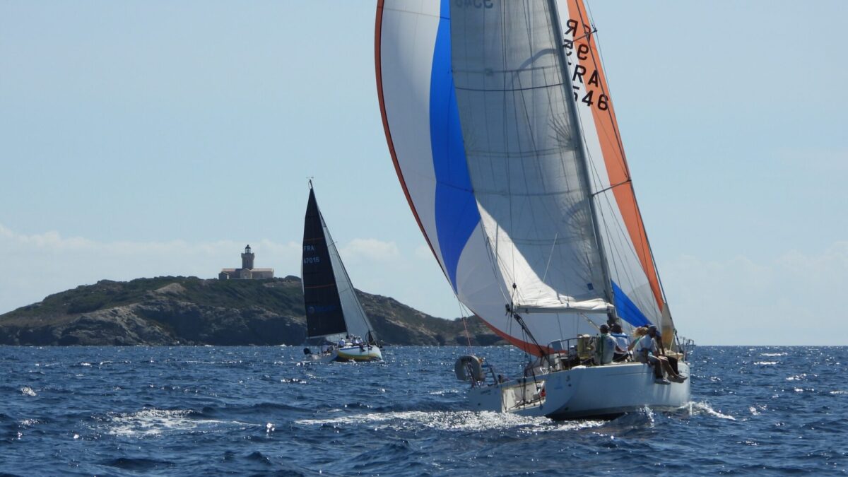 Voile d'or 2026 Bandol (23)