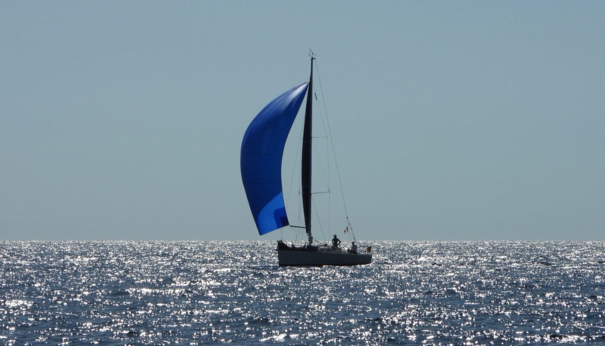 Voile d'or 2026 Bandol (39)
