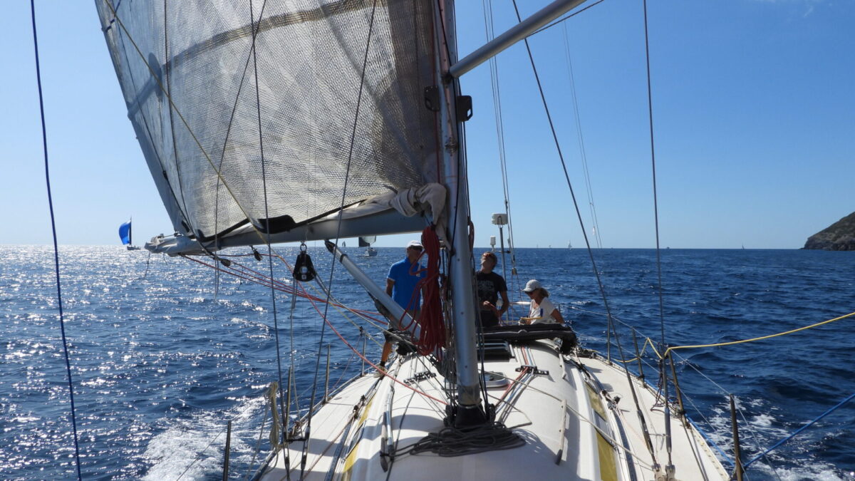 Voile d'or 2026 Bandol (51)